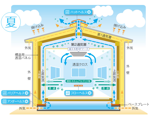 夏 夏の屋内の空気循環図
